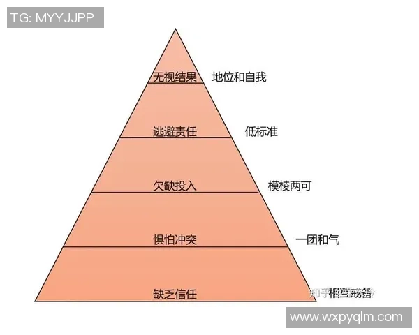 上海排球队的团队协作精神与战术配合探讨